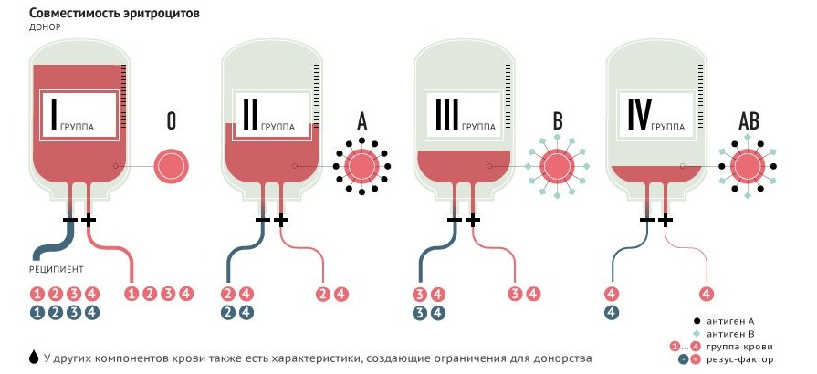 группы крови по редкости